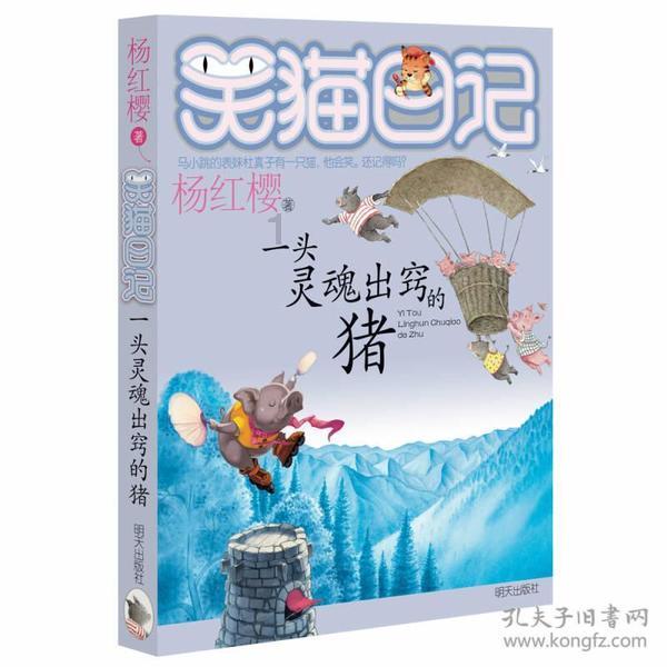 最后的大顺军:夔东十三家