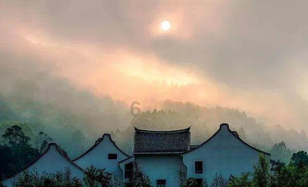 爱吃的鱼