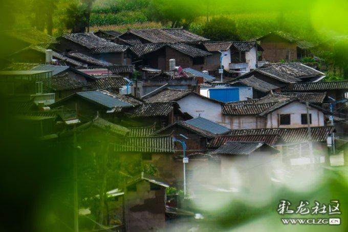 逃离海岛村