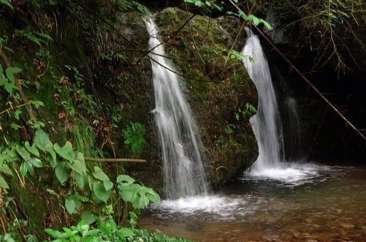 武汉糖水爷爷遭网暴放弃生意，口水之争到底伤害了多少人呢？游戏画面