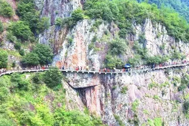 小僵尸射飞鸟