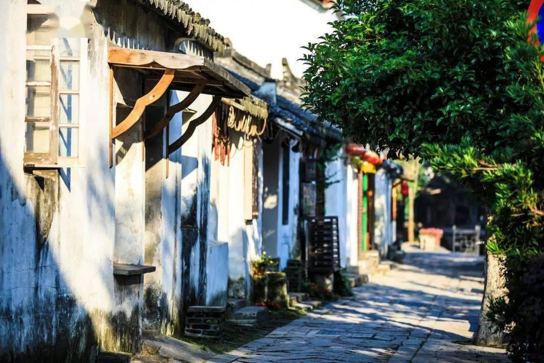 怎样会快速减肥游戏画面