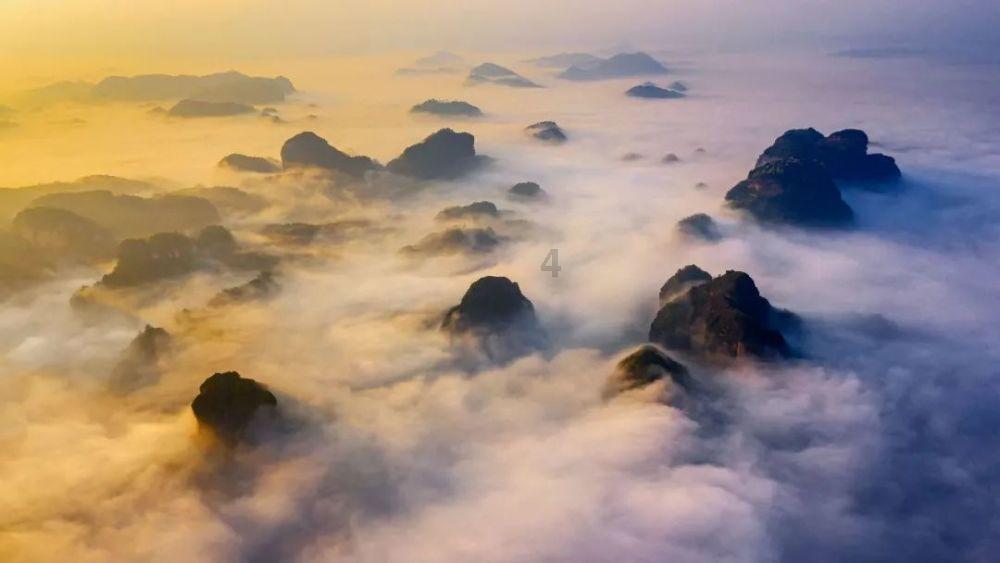 逃离水虎鱼湖
